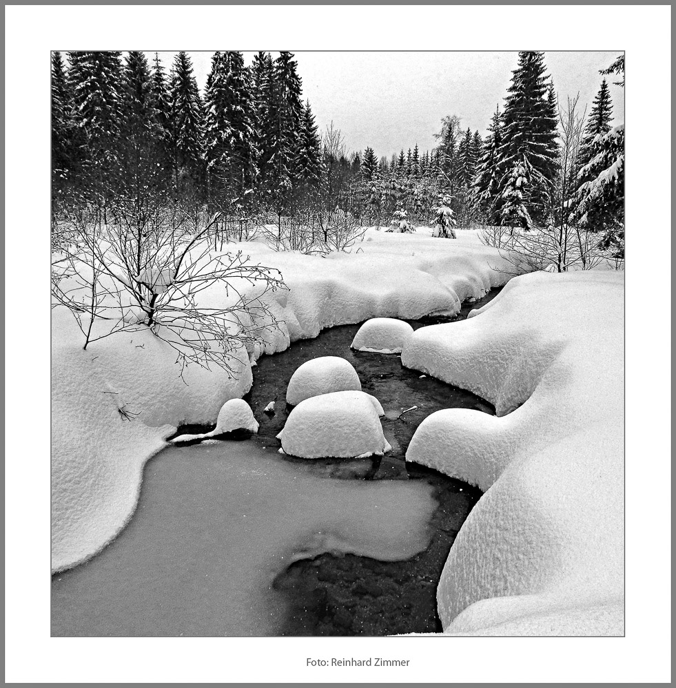 Zimmer_Reinhard_WinterSW_03