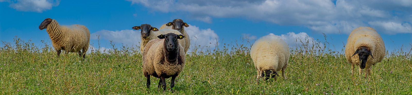 R62_0063-Bearbeitet
